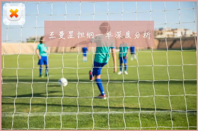 王曼昱担纲一单深度分析