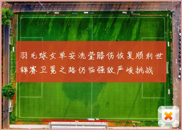 羽毛球女单安洗莹膝伤恢复顺利世锦赛卫冕之路仍临强敌严峻挑战