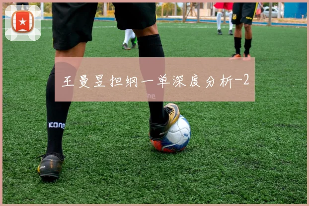 王曼昱担纲一单深度分析